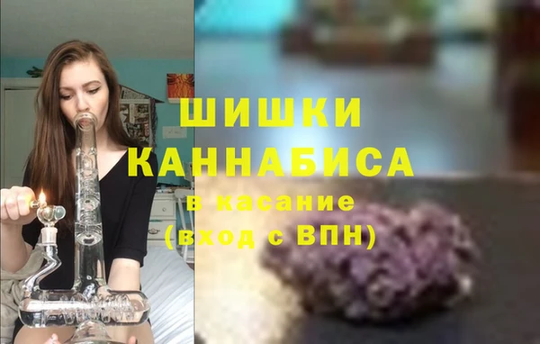 PSILOCYBIN Баксан
